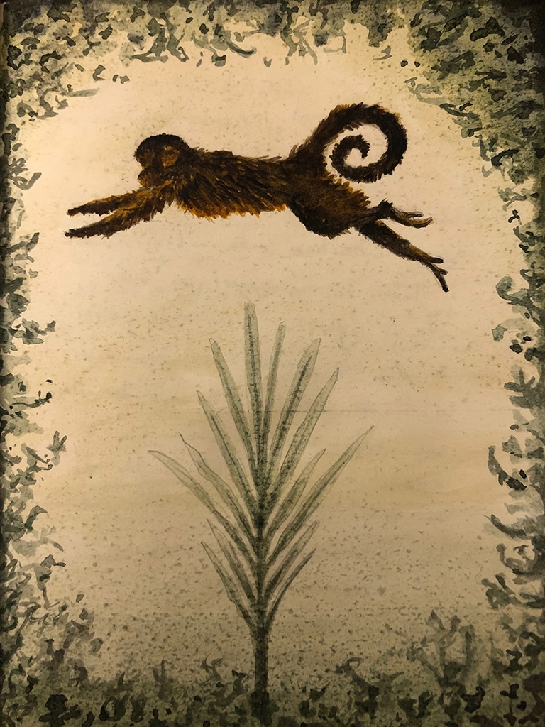Macaco.jpg|600