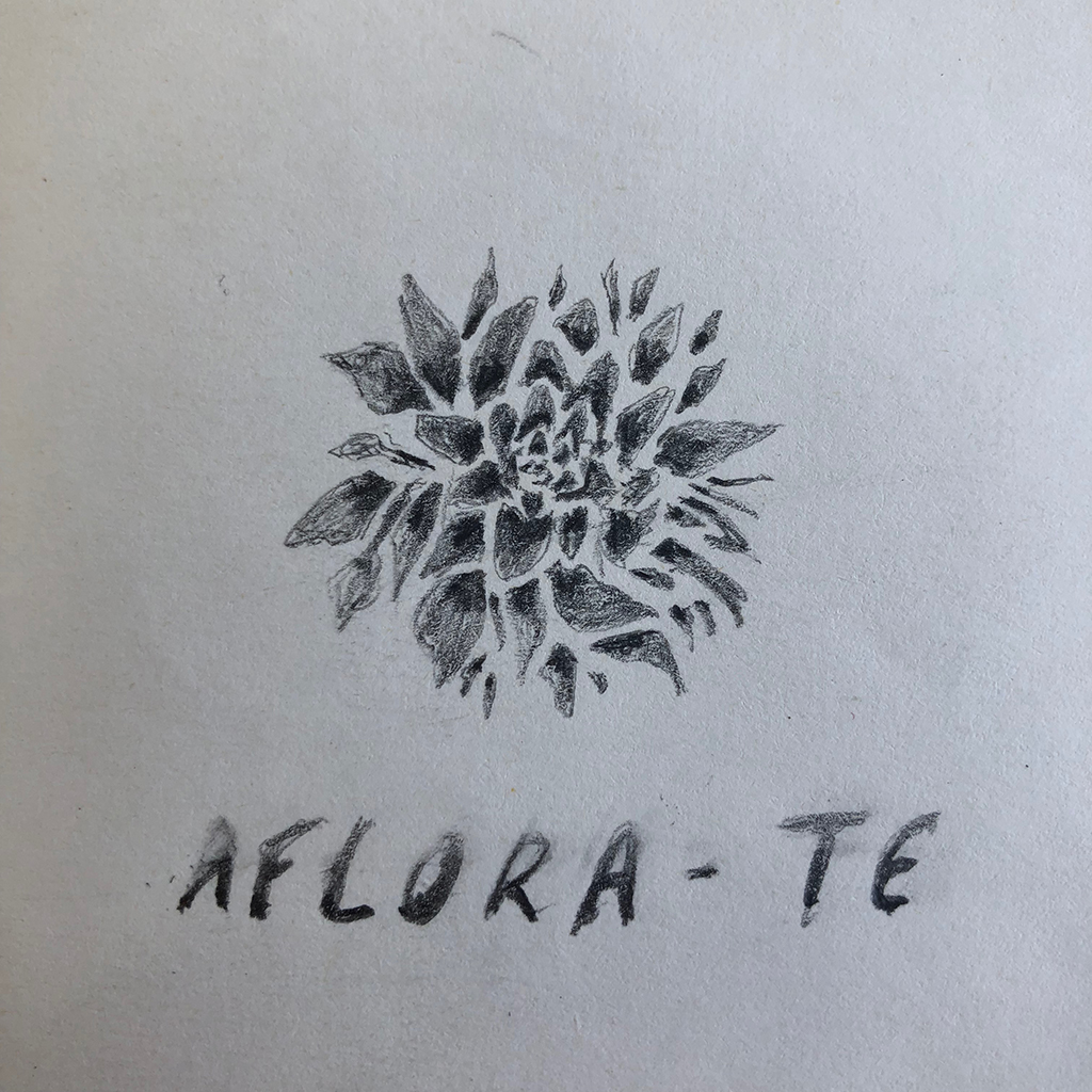 aflorate 2.jpg