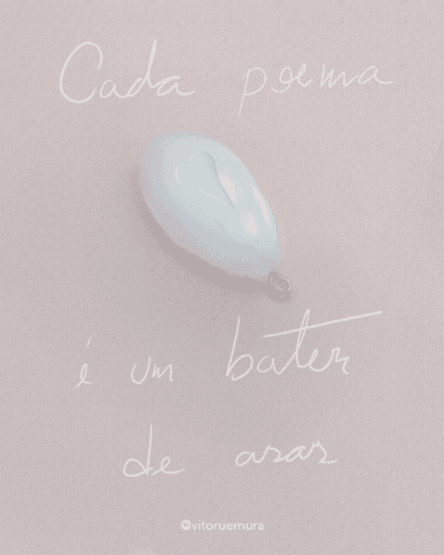 bater de asas.png|500