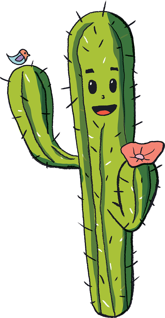 cacto.png|300
