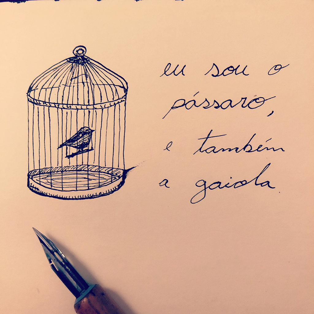 eu sou o passaro.jpg