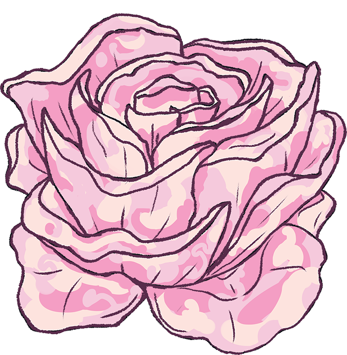 rosa.png|300